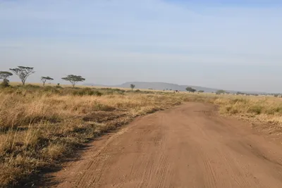 DSC_3786 (Large).JPG